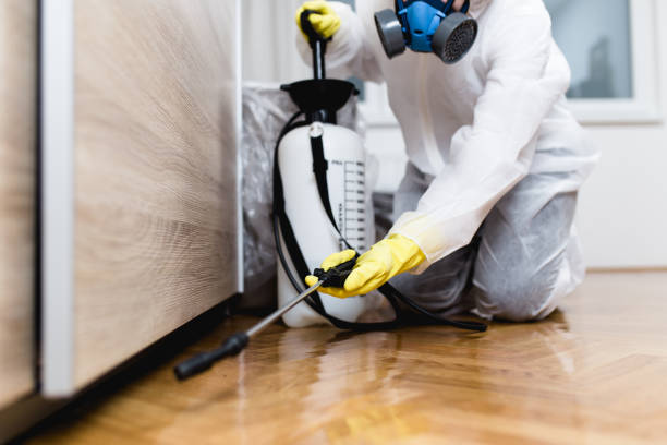 Best Best Pest Control Near Me  in Lambert, MS
