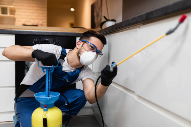 Best Pest Removal Services  in Lambert, MS