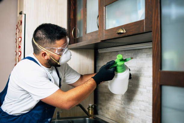 Trusted Lambert, MS Pest Control Experts