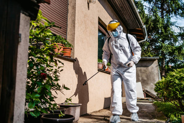 Best Wasp Removal Services  in Lambert, MS
