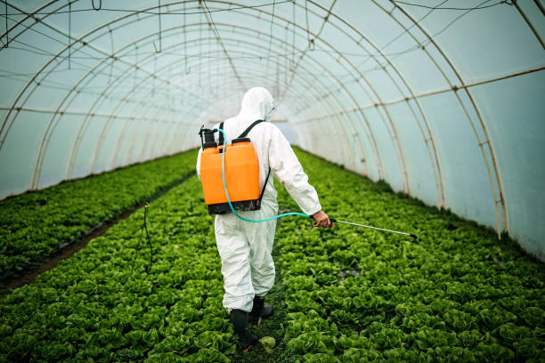 Best Residential Pest Control  in Lambert, MS