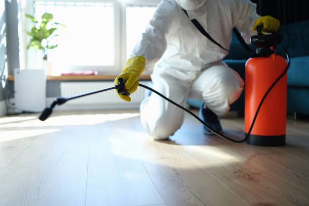 Best Flea Control Services  in Lambert, MS