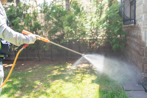 Pest Control for Restaurants in Lambert, MS