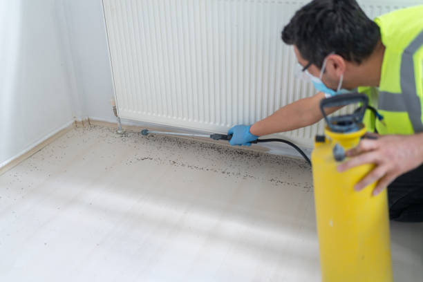 Best Pest Removal Services  in Lambert, MS