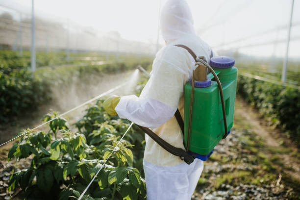 Best Affordable Exterminators  in Lambert, MS